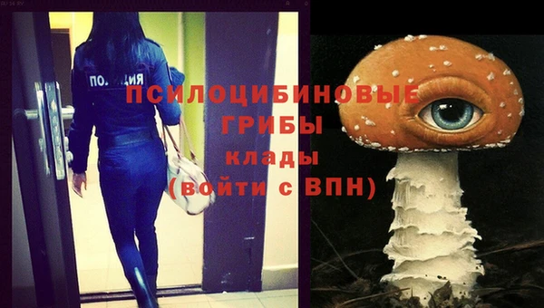 крисы Алзамай