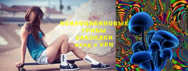 крисы Алзамай