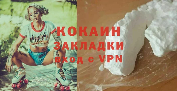 крисы Алзамай