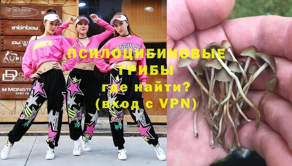 spice Алексин