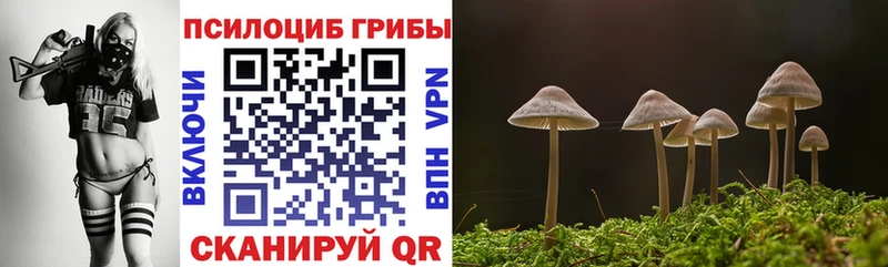 Галлюциногенные грибы Psilocybine cubensis  Тында 